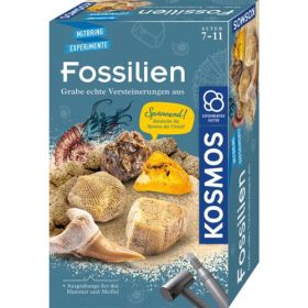 IMG101462_27451 Kosmos Fossilien-image