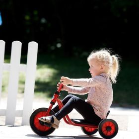 IMG103119_32740 WINTHER Mini Viking Easy Rider-image