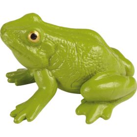 Lebenszyklen Frosch-image