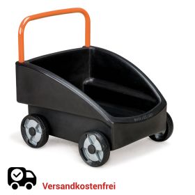 IMG70910018_28733 Schiebewagen aktiv-image