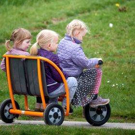 IMG70910014_16693 Doppeltaxi aktiv-image