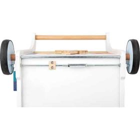 IMG101680_27138 Lauflernwagen Elefant-image