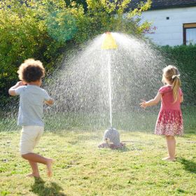 IMG103072_32572 AquaPlay Moli-image