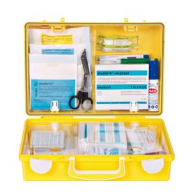 IMG10860_1130 Erste Hilfe Koffer Freude am Spiel-image