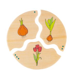 IMG70260105_3192 NAWITO Entwicklung-image