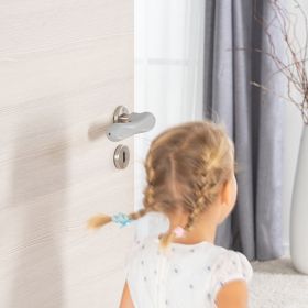 IMG101640_26747 HandleGuard Türgriffschutz, 2 Stück-image