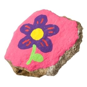 IMG77970_24527 Dacta-Color, 1000 ml-image