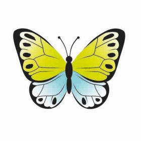 IMG101756_27406 Betty Fly-image