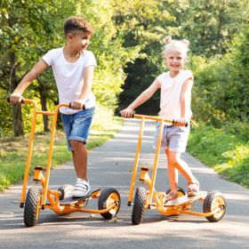 IMG100223_23399 TopTrike - Tretroller Step 'n' Roll klein-image