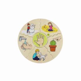 IMG101715_27281 Humanico 5 Sinne-image