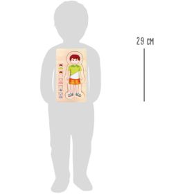 IMG70878015_14461 Schichtenpuzzle Anatomie Junge-image
