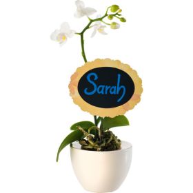 IMG88055_10980 Kreide-Marker, bunt, 5er Set-image