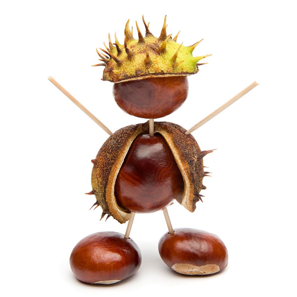 IMG102633_30967 Kastanienbohrer Set aus Holz-image