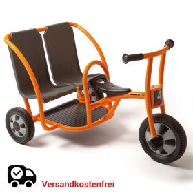 IMG70910014_28731 Doppeltaxi aktiv-image