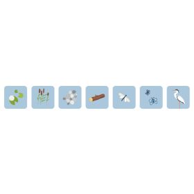 EDUbot Lernroboter Starter-Set-image