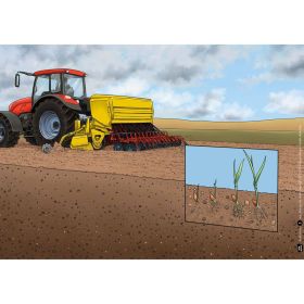 IMG102562_30918 Kamishibai: Wie aus Getreide Brot wird-image