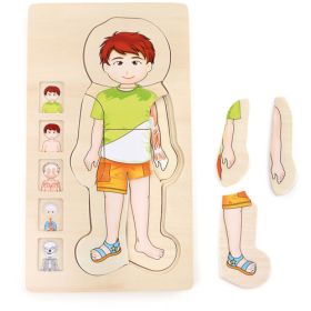 IMG70878015_14458 Schichtenpuzzle Anatomie Junge-image