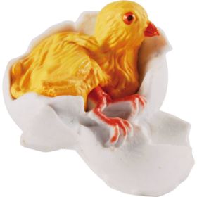 Lebenszyklen Huhn-image