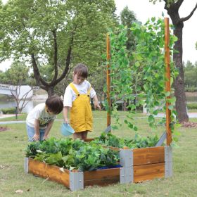 IMG102220_29389 Mehrstufiges Hochbett mit Rankgitter-image