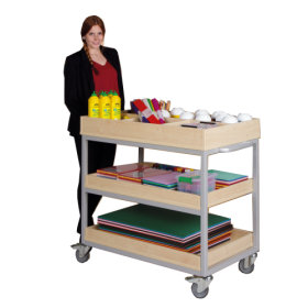 Vorbereitungswagen mit 3 Ablageböden, 6 Fächern oben, fahrbar B/H/T: 100 x 113 x 60 cm, mit Aufkantung-image